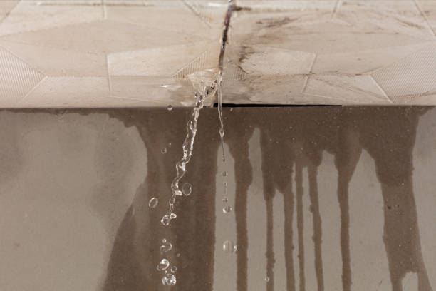 Professional Structural Drying technician working in Eustace, TX